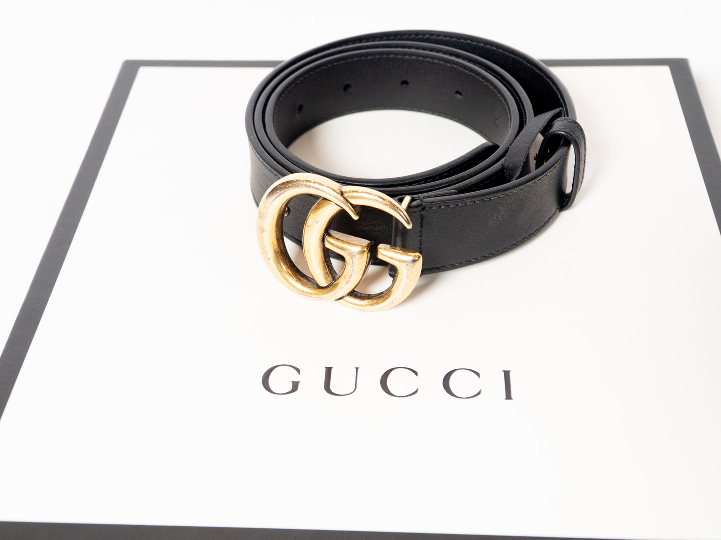 gucci belt